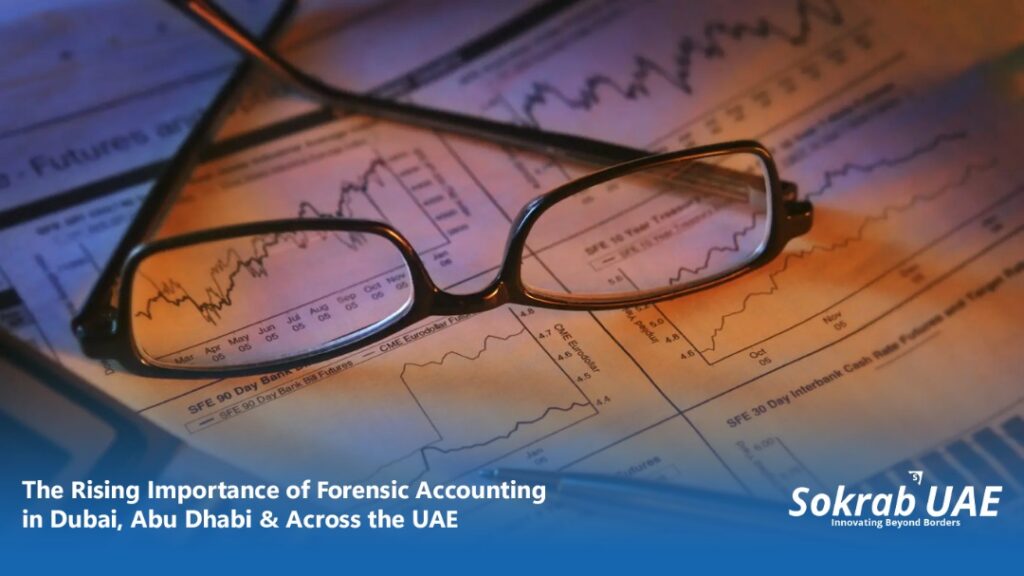 okrab UAE expert analyzing financial documents for forensic investigation in Dubai