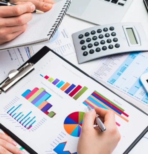 Chartered Accountantsin UAE